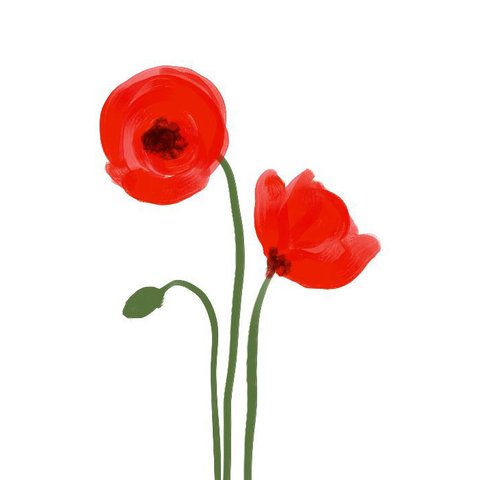 An illustration of a red poppy, appearing on the 'Oxfam After Hours' event poster.