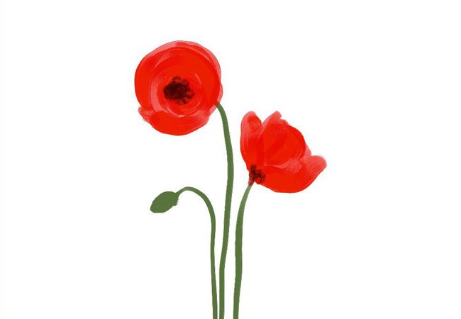 An illustration of a red poppy, appearing on the 'Oxfam After Hours' event poster.