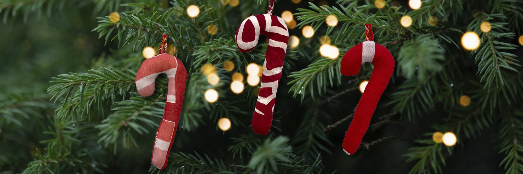 Three handmade red and white candy cane decorations hang on a Christmas tree, surrounded by warm glowing fairy lights.