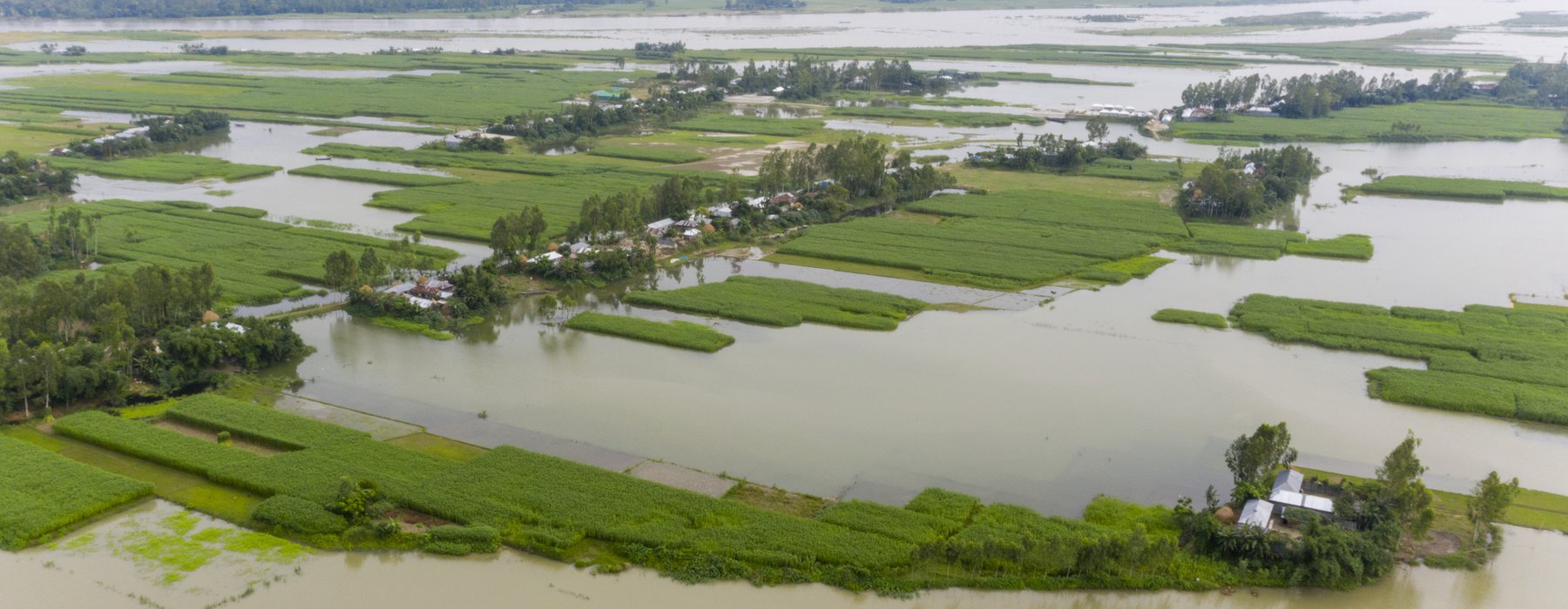 Flooded fields in Bangladesh