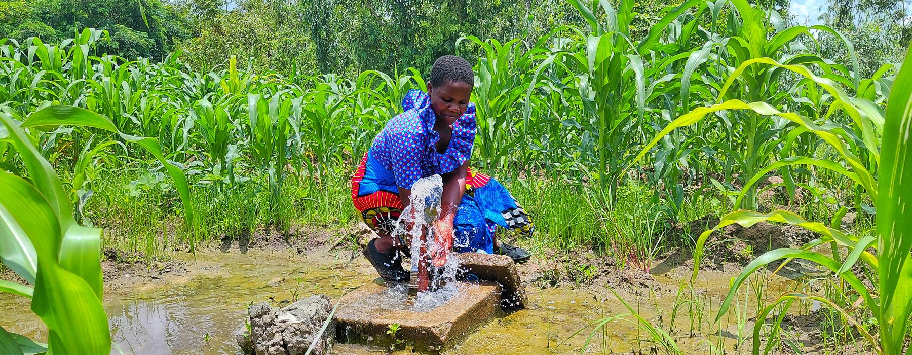 Women in brightly coloured clothes bending down and collecting water from a tap amid lush green vegetation in Malawi