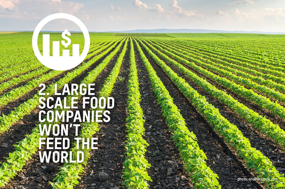 An image of a field of green crops with the words large scale food companies won't feed the world over the image