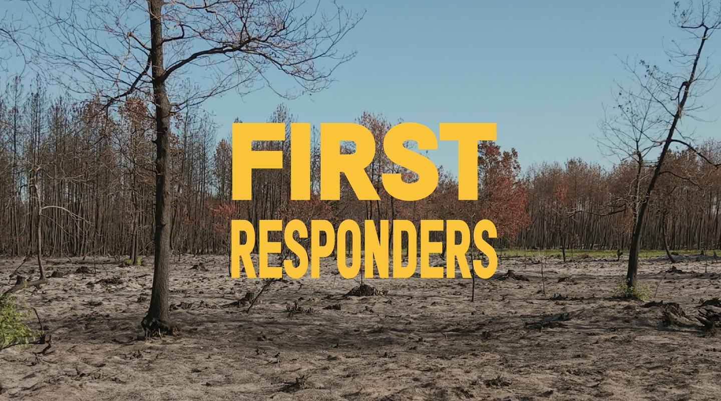 A forest in south-western France in the aftermath of devastating wildfires where the trees are few and have no leaves, the ground is reduced to dust. Yellow text reads "First responders".