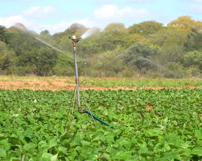 Video still showing water automated crop watering