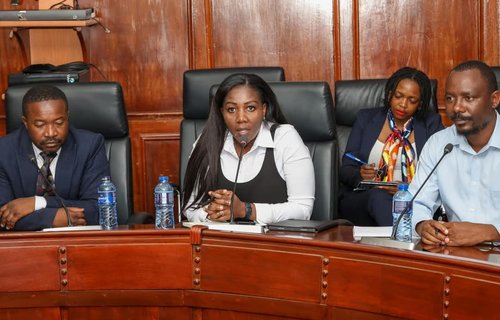 Faith speaking to the Kenyan Parliament