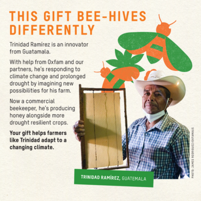 Bee the change Unwrapped charity gift