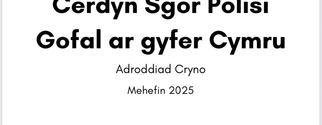Tudalen Flaen Cerdyn Sgôr Polisi Gofal ar gyfer Cymru