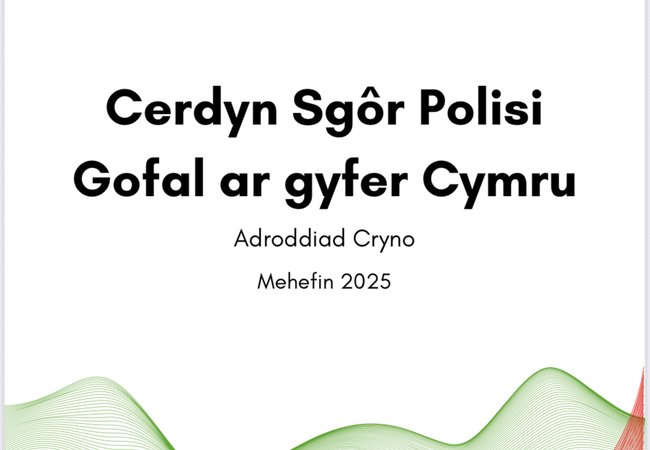 Tudalen Flaen Cerdyn Sgôr Polisi Gofal ar gyfer Cymru