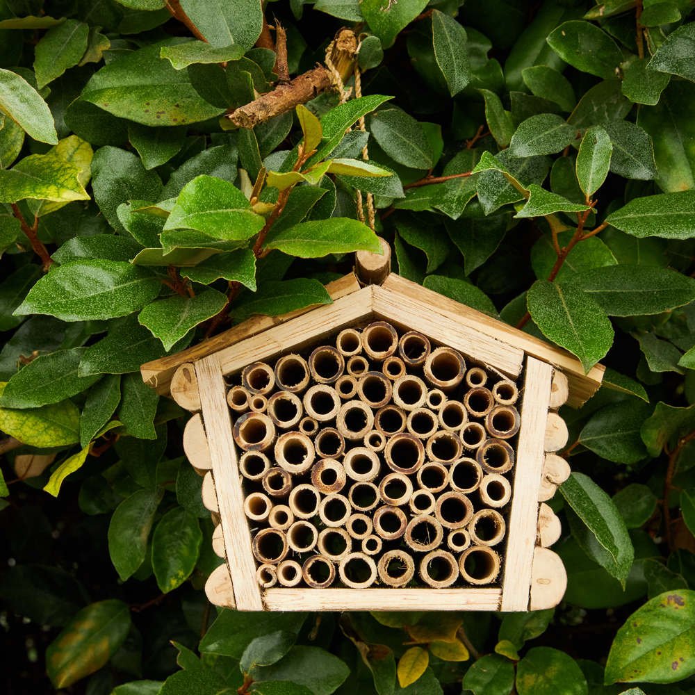 wooden bee house hanging in a hedge in a garden