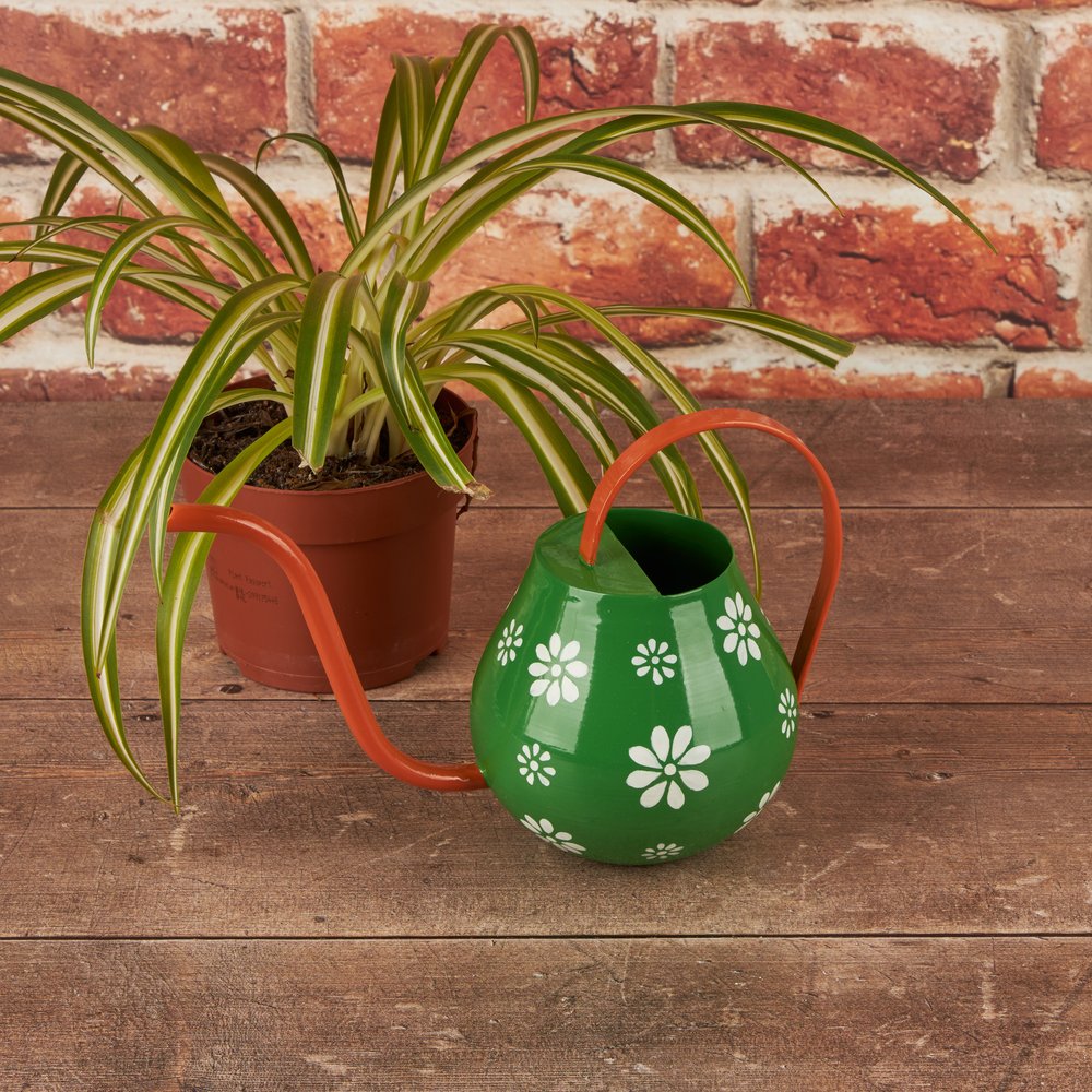 Small painted watering can