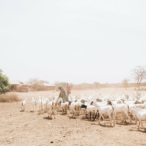 As many as 28 million people across East Africa face severe hunger. Photo: Khadija Farah/Oxfam