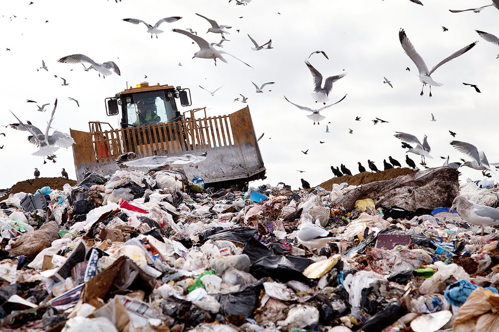 A forklift truck drives through a pile of rubbish at a landfill site. Seagulls fill the sky.