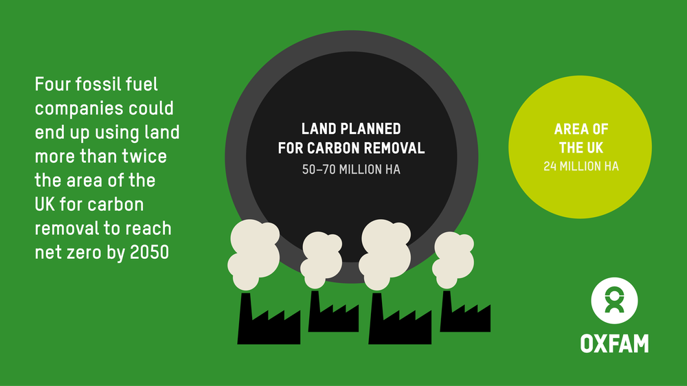 Four fossil fuel companies could end up using land more than twice the area of the UK for carbon removal to reach net zero by 2050