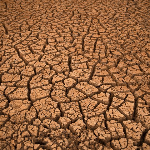 Drought-cracked earth in Kenya