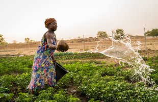 Akisneem waters her vegetables in Garu, Ghana.