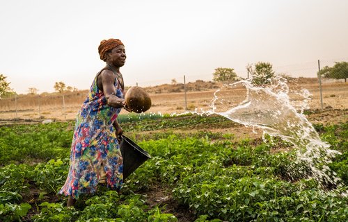 Akisneem waters her vegetables in Garu, Ghana.