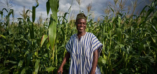 Seidu stands proudly in his maize farm in Ghana.