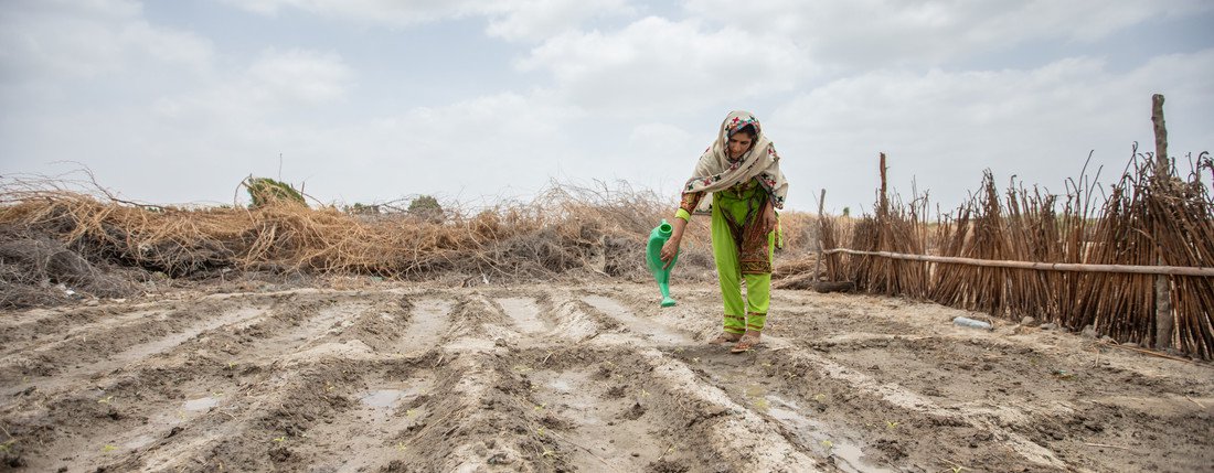 A farmer waters crops in Pakistan. Oxfam has worked with partners in Pakistan to provide training to help people adapt to the impacts of climate change.