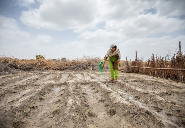 Hooran watering a barren chalky muddy field in pakistan with a green watering can