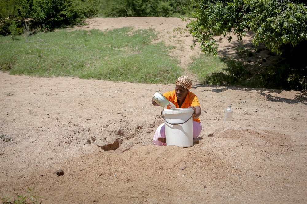Cecilia draws water from a shallow well in dusty earth and pours it into a white bucket. Cattle are in the background.