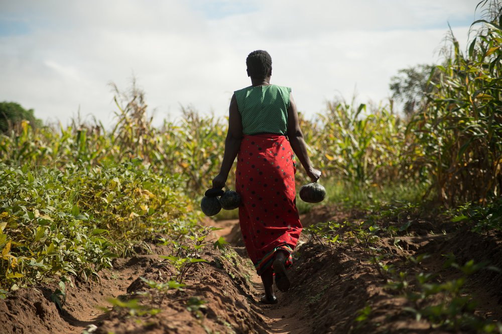 Climate activist Jessy's Mum carries vegetables through a field