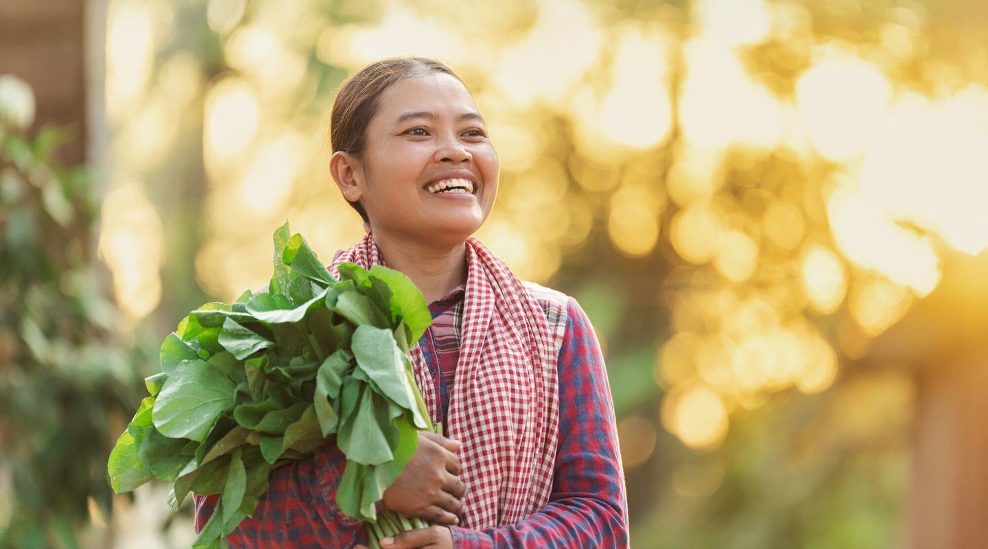 Person outdoors holding a large bundle of freshly harvested leafy green vegetables, wearing a checked shirt and patterned scarf. Soft golden sunlight and blurred greenery in the background create a warm rural setting.