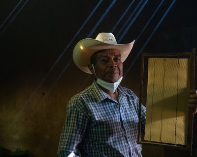 Trinidad Ramírez, 61, an apiculture expert from Guatemala, prepares frames for the apiary.