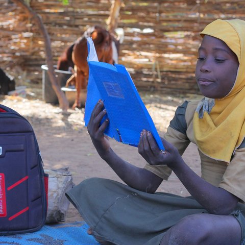 A young girl is sitting outside with her home in Niger reading a book. Behind her are goats walking outside.