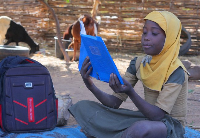 A young girl is sitting outside with her home in Niger reading a book. Behind her are goats walking outside.