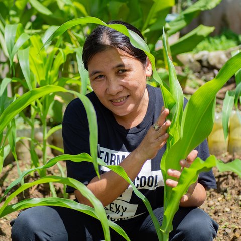 Lorna Antiola with her corn plants in the Philippines.