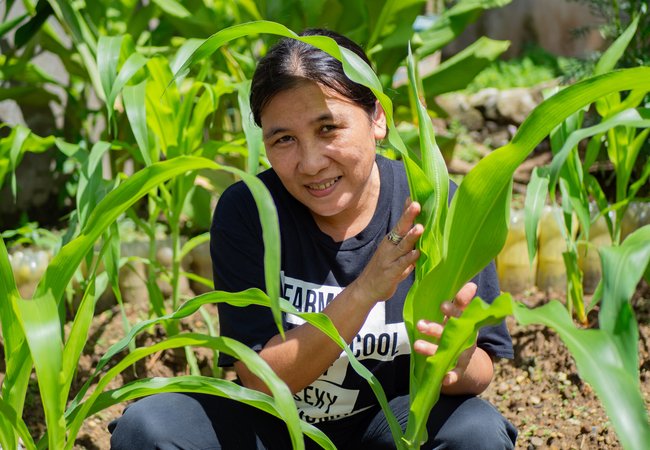 Lorna Antiola with her corn plants in the Philippines.