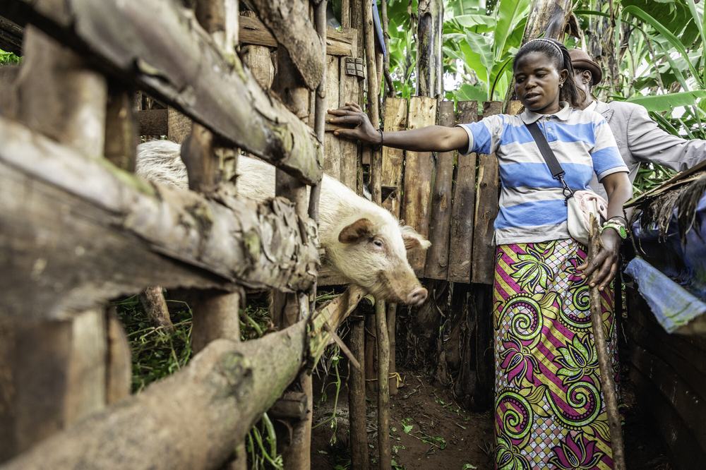 a woman stood next to a farm pen holding pigs.