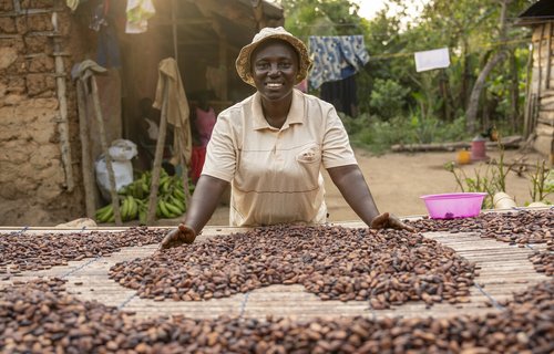 Smiling woman in centre of photo, there are lots of coca beans in front of her on a table