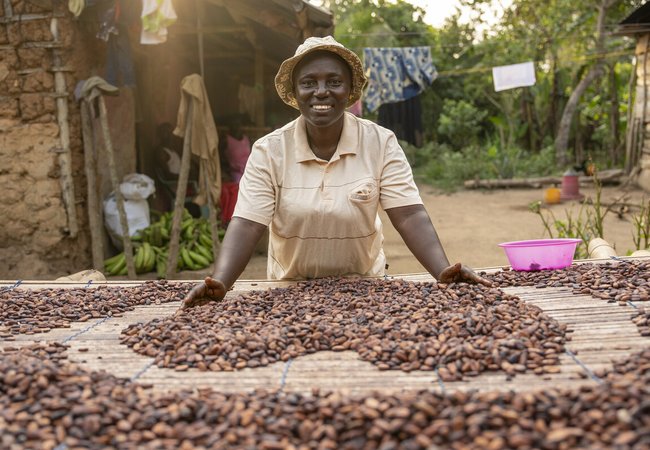 A woman smiles while spreading cocoa beans to dry on a raised platform outside her home. The scene is a rural village with produce, laundry, and greenery in the background.