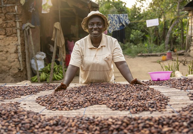 A woman smiles while spreading cocoa beans to dry on a raised platform outside her home. The scene is a rural village with produce, laundry, and greenery in the background.