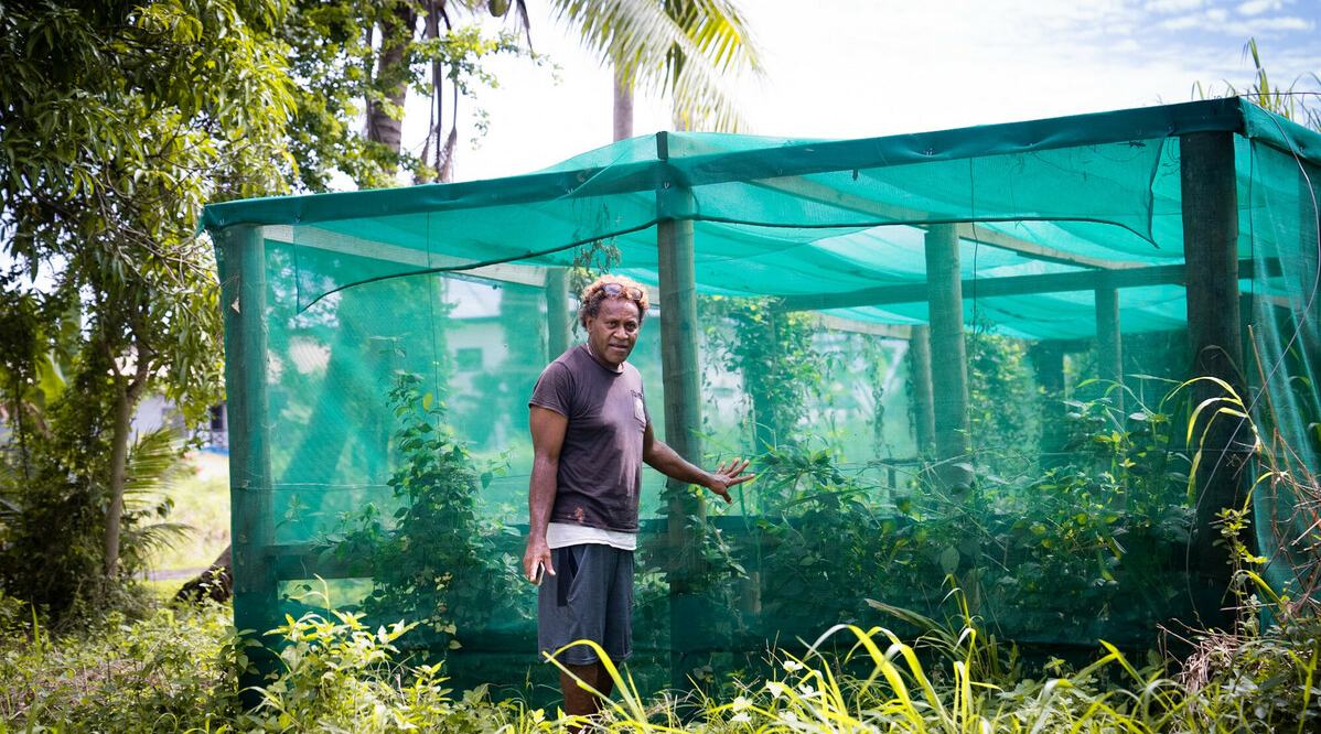 Poasa is standing in front of a crops cage covered in green netting on the farm that he manages in Nadi, Fiji.