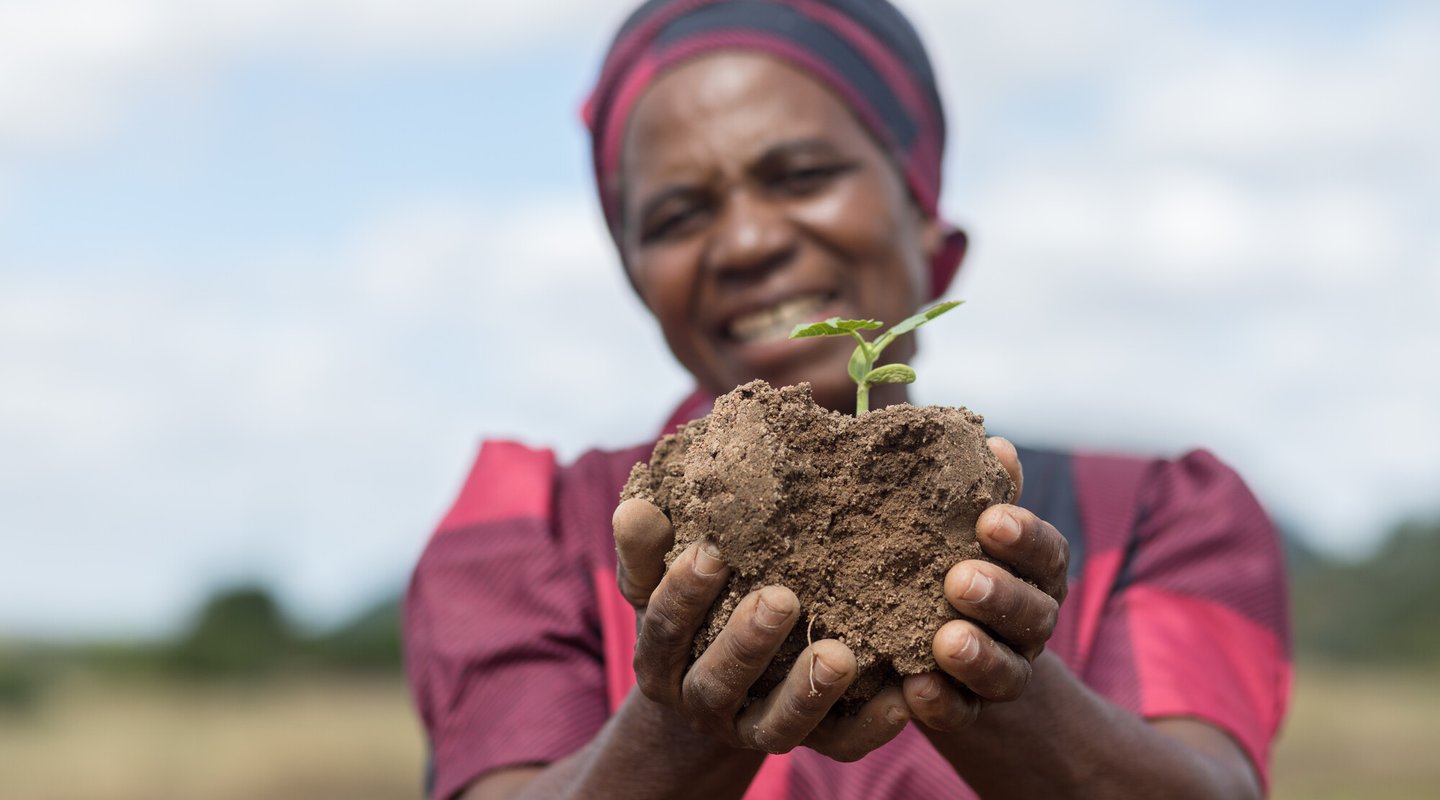 Ottilia Tarutira, a participating farmer, for the Ruti Irrigation Project in Zimbabwe, smiles as she holds up a seedling.