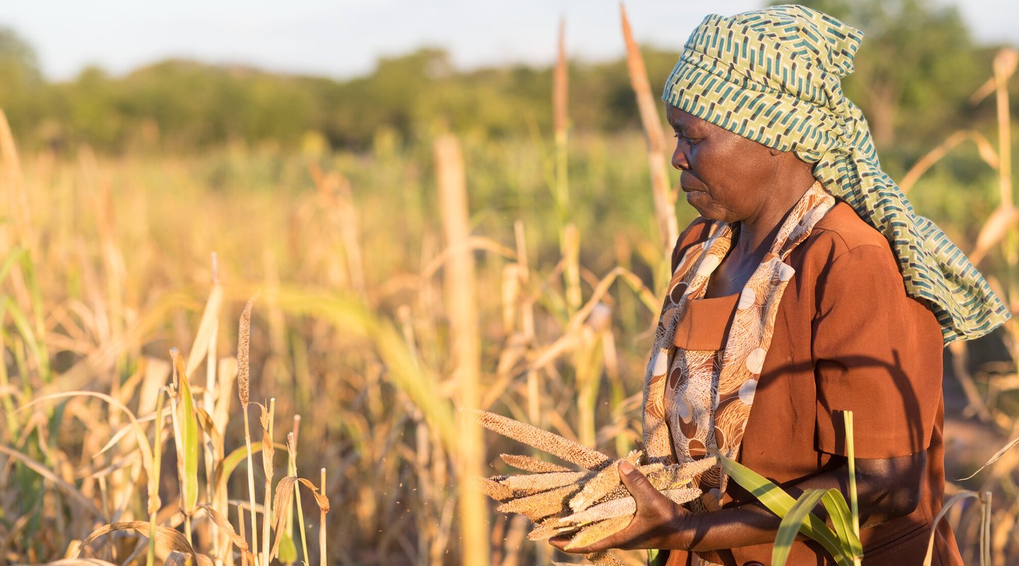 Fungai Nyikadzino in her field in Gutu District, Zimbabwe where the harsh sun and low rainfall devastated her crops.