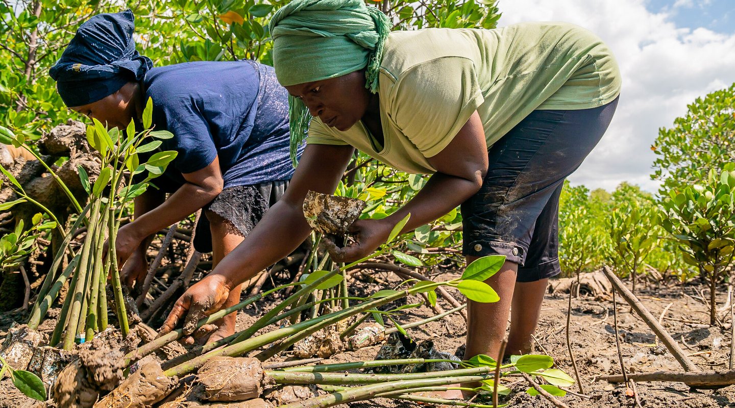 Tatu Said and Maryam Ndilo plants a mangrove seedling, Mombasa County, Kenya.