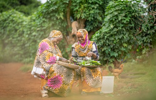 Halima and Bokayo of Manyatta Konso women’s group in Marsabit county, Kenya prepare traditional vegetables from certified seeds provided by PACIDA, an OXFAM partner organisation.