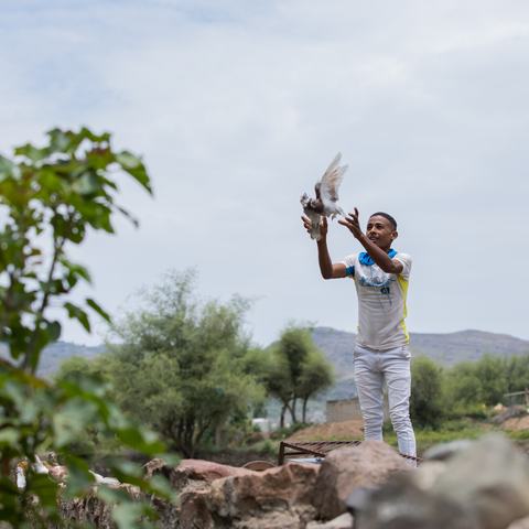22-year-old Munadhel releases one of the pigeons his family breeds at their home in rural Yemen.