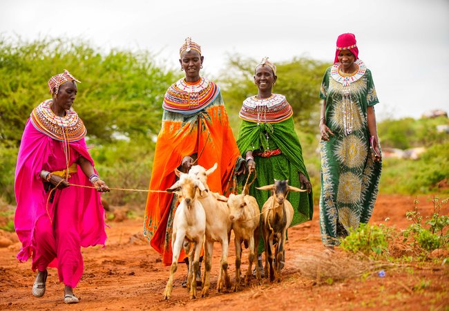 Four women walking through a rural area with four goats