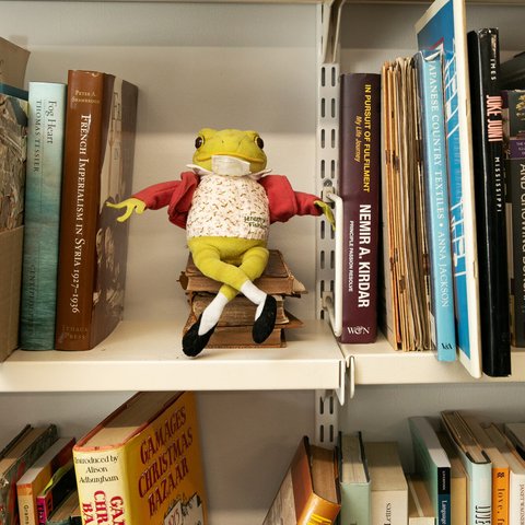 Frog ornament on bookshelf in Hove bookshop.