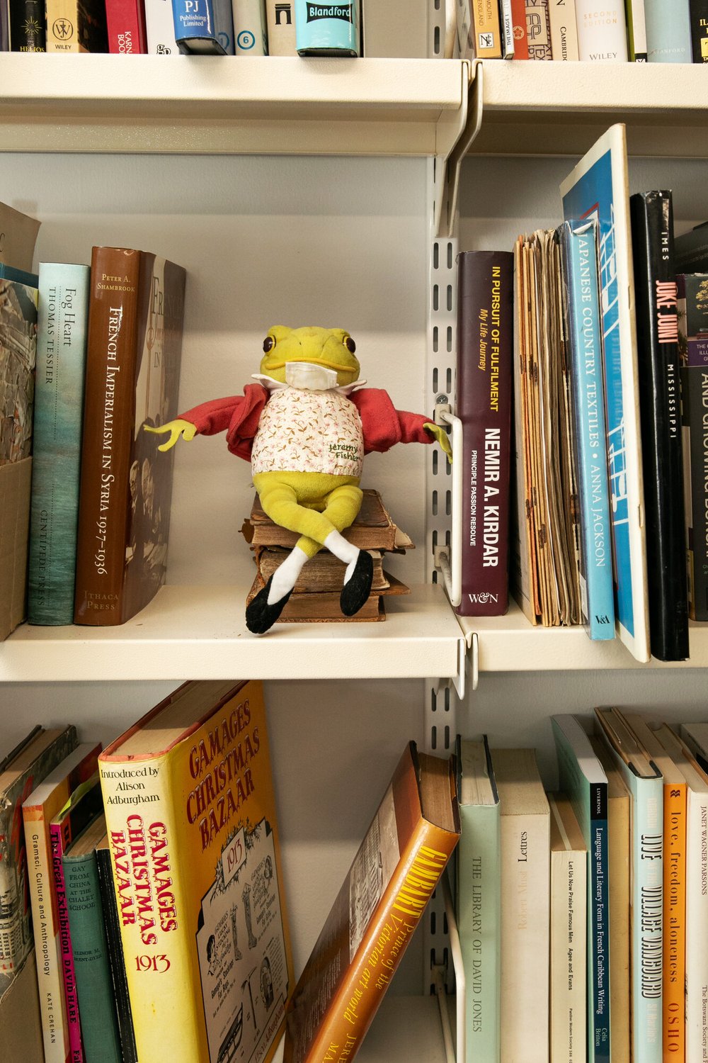Frog ornament on bookshelf in Hove bookshop.