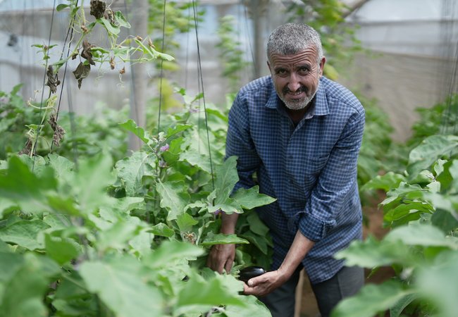 Walid smiles as he checks the plants in his greenhouse in Zawaya, Gaza Strip.