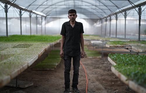 A man stands in a greenhouse full of seedlings in Gaza
