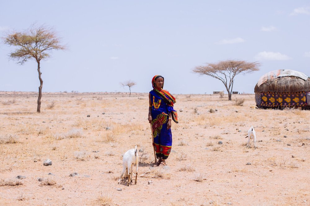 A person wearing a brightly coloured patterned outfit stands on dry, sandy ground with two goats nearby. In the background, there are sparse trees and a round hut.