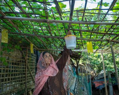 Tahera Begum, 38, a Rohingya woman, tends to her vertical garden on the rooftop of her shelter in Camp 19, Ukhiya, Cox's Bazar.