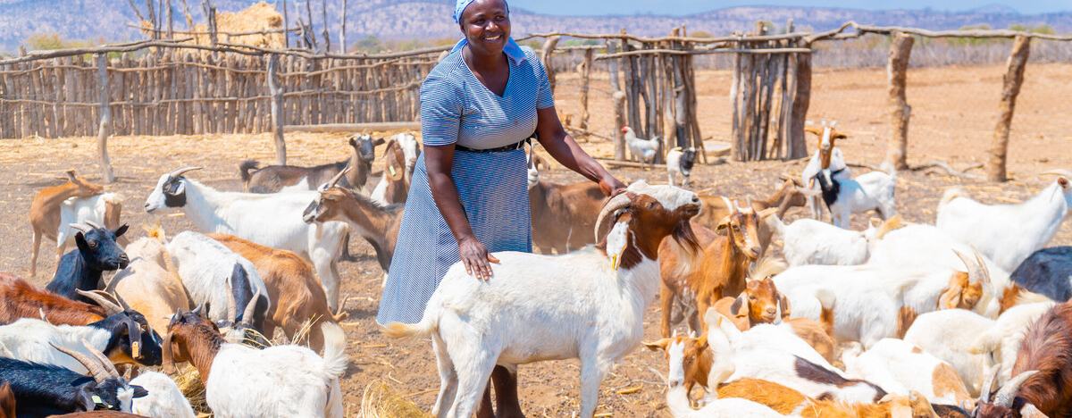 Christine Mudzingwa standing in the middle of her 55 goats on her farm in Buhera, Zimbabwe.