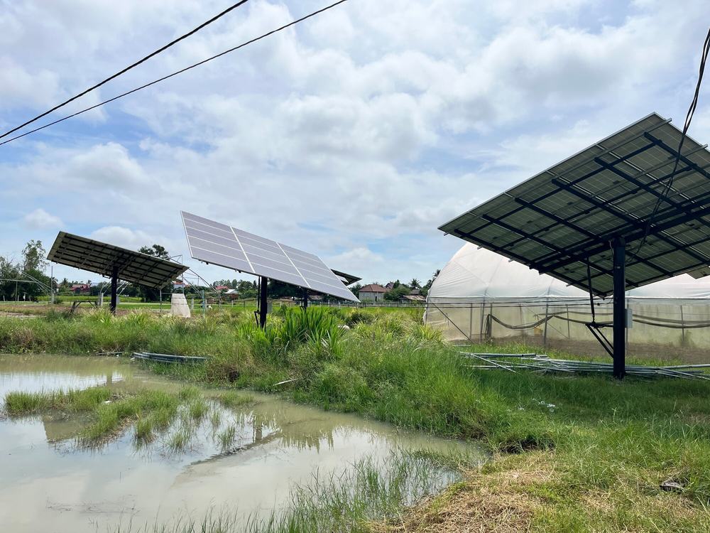 three large solar panels stand in between a body of water and a greenhouse.